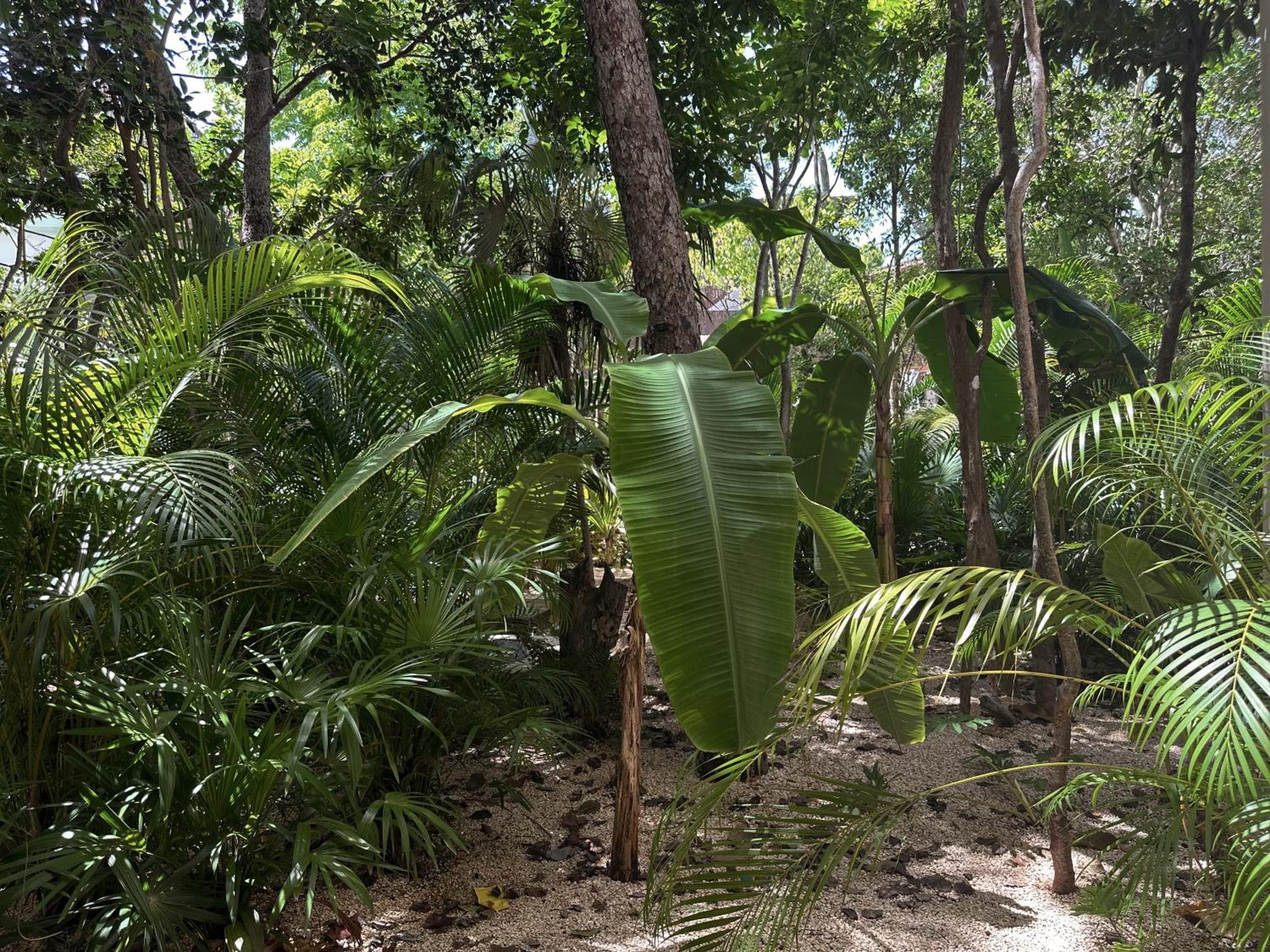 Ophelia Tulum Condo In Aldea Zama Exterior foto